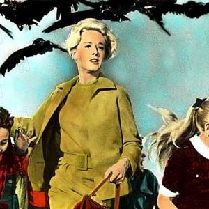 Photo Tippi Hedren