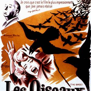 Photo Les Oiseaux