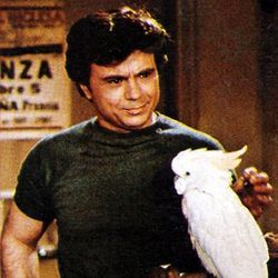 Photo Baretta