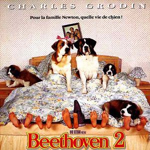 Photo Beethoven 2