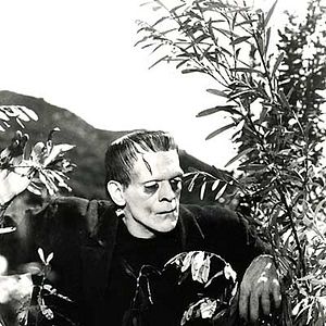 Photo Frankenstein