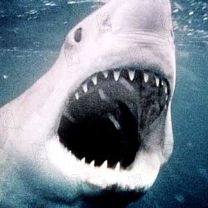 Photo Steven Spielberg