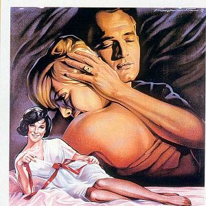 Photo Doux Oiseaux de jeunesse