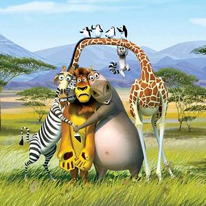 Photo Madagascar 2