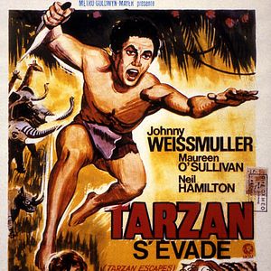 Photo Johnny Weissmuller