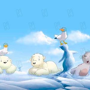 Photo Piet De Rycker