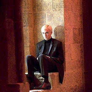 Photo Tom Felton