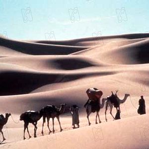 Photo Bernardo Bertolucci