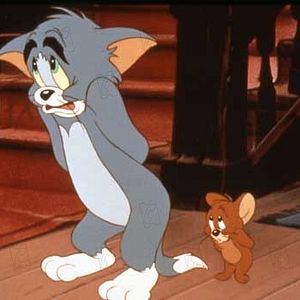 Photo Tom et Jerry