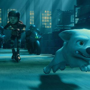 Photo Chris Williams