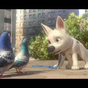 Photo Chris Williams