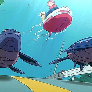 Photo Ponyo sur la falaise