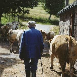 Photo La Vie moderne