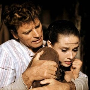 Photo Le Vent de la plaine