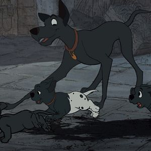 Photo Les 101 Dalmatiens