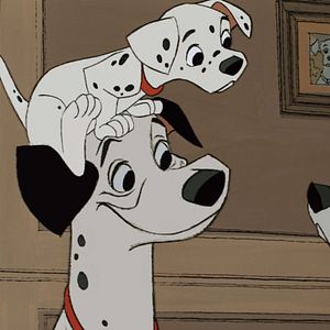 Photo Les 101 Dalmatiens