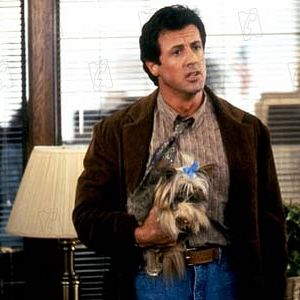 Photo Arrête ou ma mère va tirer