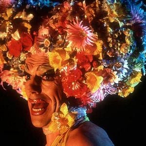 Photo Stephan Elliott