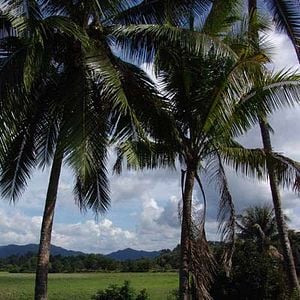 Photo Wonderful Town