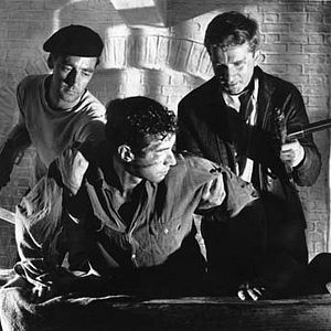 Photo Bradford Dillman