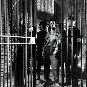 Photo Bradford Dillman