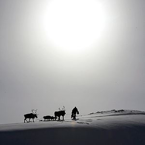 Photo Loup