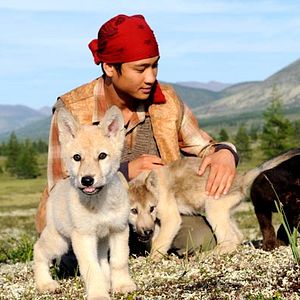 Photo Nicolas Brioudes