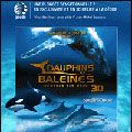 Photo Dauphins et baleines 3D, nomades des mers