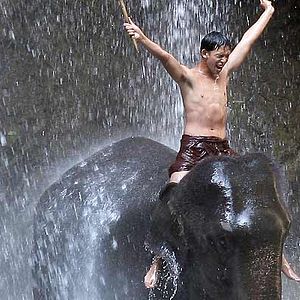 Photo Olivier Horlait