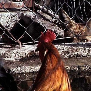 Photo Ce cher mois d'août