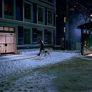 Photo La Nouvelle vie de Monsieur Horten