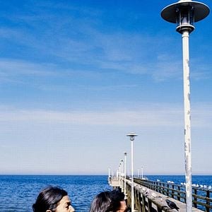 Photo Cherry Blossoms