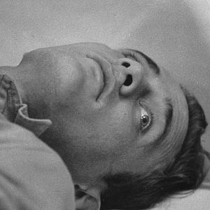 Photo L'Oeil sauvage