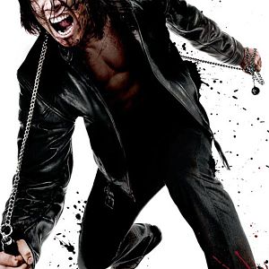 Photo Ninja Assassin