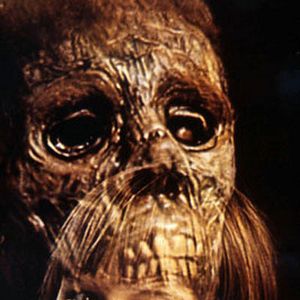 Photo Robert Mulligan