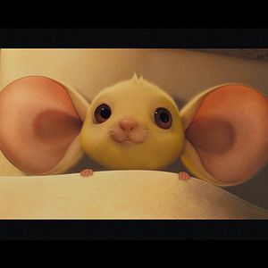 Photo Robert Stevenhagen