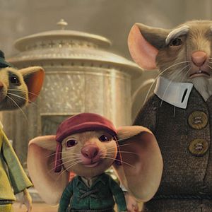 Photo Robert Stevenhagen