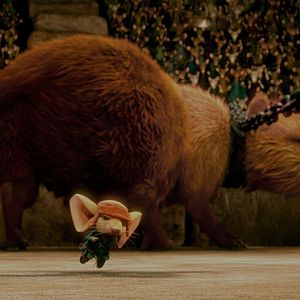 Photo Robert Stevenhagen