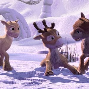 Photo Niko, le petit renne