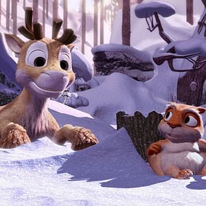 Photo Niko, le petit renne