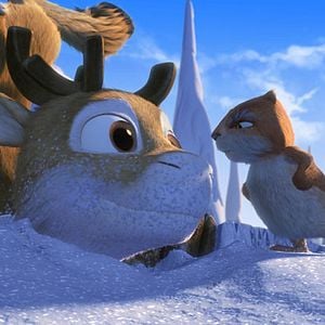 Photo Niko, le petit renne