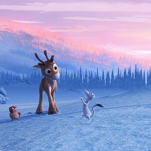 Photo Niko, le petit renne