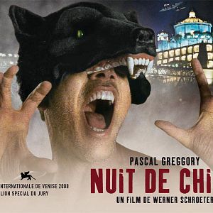 Photo Nuit de chien