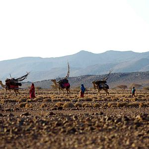 Photo Sherry Hormann