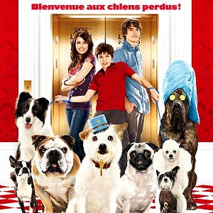 Photo Jake T. Austin