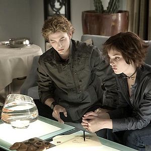 Photo Ashley Greene Khoury