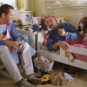 Photo Pascale Pouzadoux