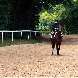 Photo Benjamin Marquet