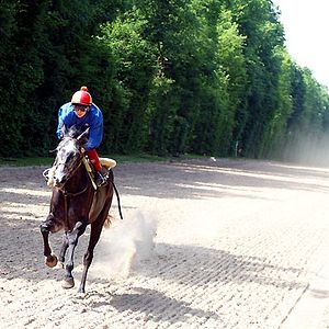 Photo Benjamin Marquet