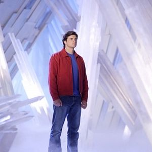 Photo Tom Welling